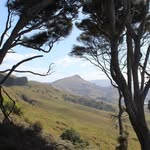 Lee Wick - @leewickauthor - Instagram