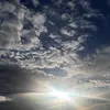 leelee6965 - @leewiese - TikTok
