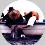 Lee Wiegand - @wiegand.lee - Instagram