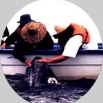 Lee Wiegand - @lee_wiegand1 - Instagram