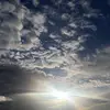 leelee6965 - @leewiese - TikTok