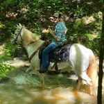 Dustin Lee Wilbanks - @dtmhorses - Instagram