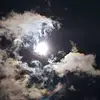 Lee Wilbanks - @lee.wilbanks - TikTok