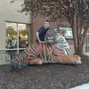 LeeWilbanks10 - @leewilbanks10 - TikTok
