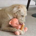 Lee Wilcox - @lee.wilcox.18 - Instagram