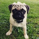 Brock Lee Wiley - @brockleewiley - Instagram