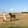 Lee Wiley778 - @elvisitis - TikTok