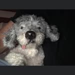 Lee Wilkerson - @pensacolablackwater - Instagram