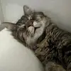 brandonleewilks - @brandonleewilks - TikTok