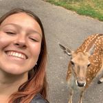Lee Wille - @leewille2 - Instagram