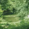 leewille997 - @leewille997 - TikTok