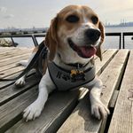 Willey Lee - @willey_lee - Instagram