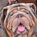 Lee Willis - Facebook