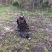 Lee Willis - Facebook