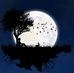 Lee Willman - Facebook