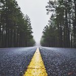 Lee Willoughby - @lee_willoughbys_rawphotography - Instagram