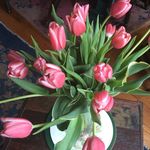 Lee Willoughby - @lee.willoughby.961 - Instagram