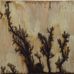 Lichtenberg Figures by Lee Willoughby - Facebook