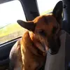 Richard Lee Willough - @richardleewilloughby - TikTok
