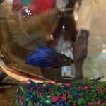 Douglas Lee Winchester - @doug.thefish - Instagram
