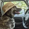 Lee Wingfield - @lee.wingfield - TikTok