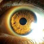 Lee Winkle - @lee.winkle.3 - Instagram
