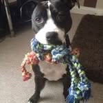 Lee Winkless - @leewinkless - Instagram