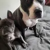 leewinkless690 - @leewinkless690 - TikTok