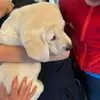 lee winn - @lee.winn1 - TikTok