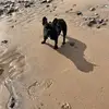 leewinn8 - @leewinn8 - TikTok