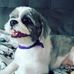 Adam Lee Wisner - Facebook