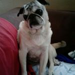 Linda Wisner - @linda_lee_wisner - Instagram