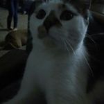 zachary Lee wisniewski - @wisniewskizacharylee - Instagram