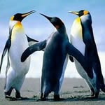 Joeleen Wittenberg - @joeleen.wittenberg - Instagram
