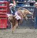 Lee Woodson - Facebook