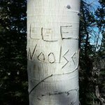 Lee Woolsey - @woolz1970 - Instagram