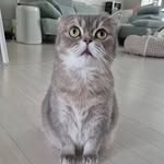 Lee Woon-jae  (이운재) - @leewoonjae00 - Instagram