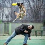 Woong Jong Lee - @leewoongjong - Instagram