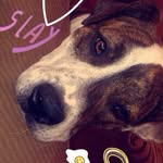 Harper Rose Lee Wootton - @harperroselee - Instagram