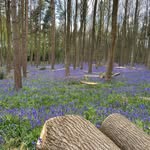 Lee Wootton - @buggles_lee - Instagram
