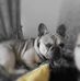 Lee Worden - Facebook