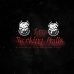 LEEWORKINBULLYS🗻⛽️ - @leeworkingbulls - Instagram