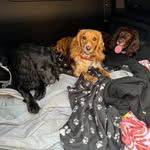 Lee Wren - @mr.lee.wren - Instagram