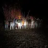 Lee_Wren - @countryboi8233 - TikTok