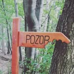 Lee Wright - @mad_man_zippy - Instagram