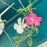 Lee Wu - @lee.wu.37051 - Instagram