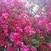 Lee Wu - Facebook