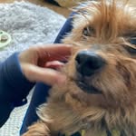 Lee Wynn - @leewynn1234 - Instagram