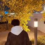 Lee Xuan - Facebook