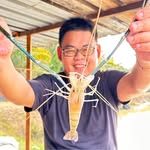 Lee Yap - @leeyap1747 - Instagram